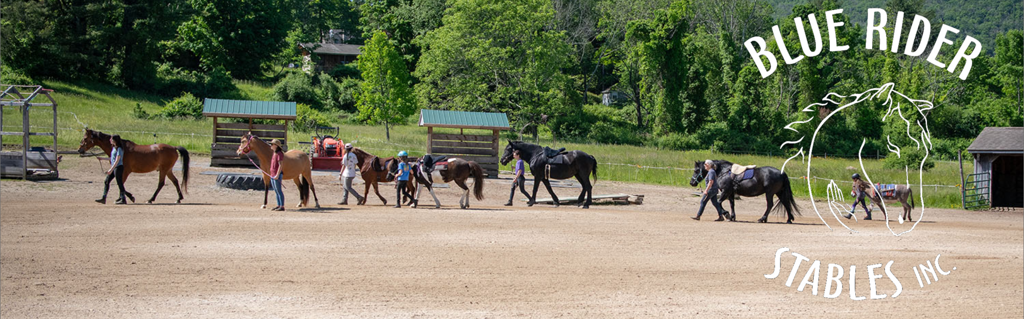 Blue Rider Holiday Auction | Blue Rider Stables