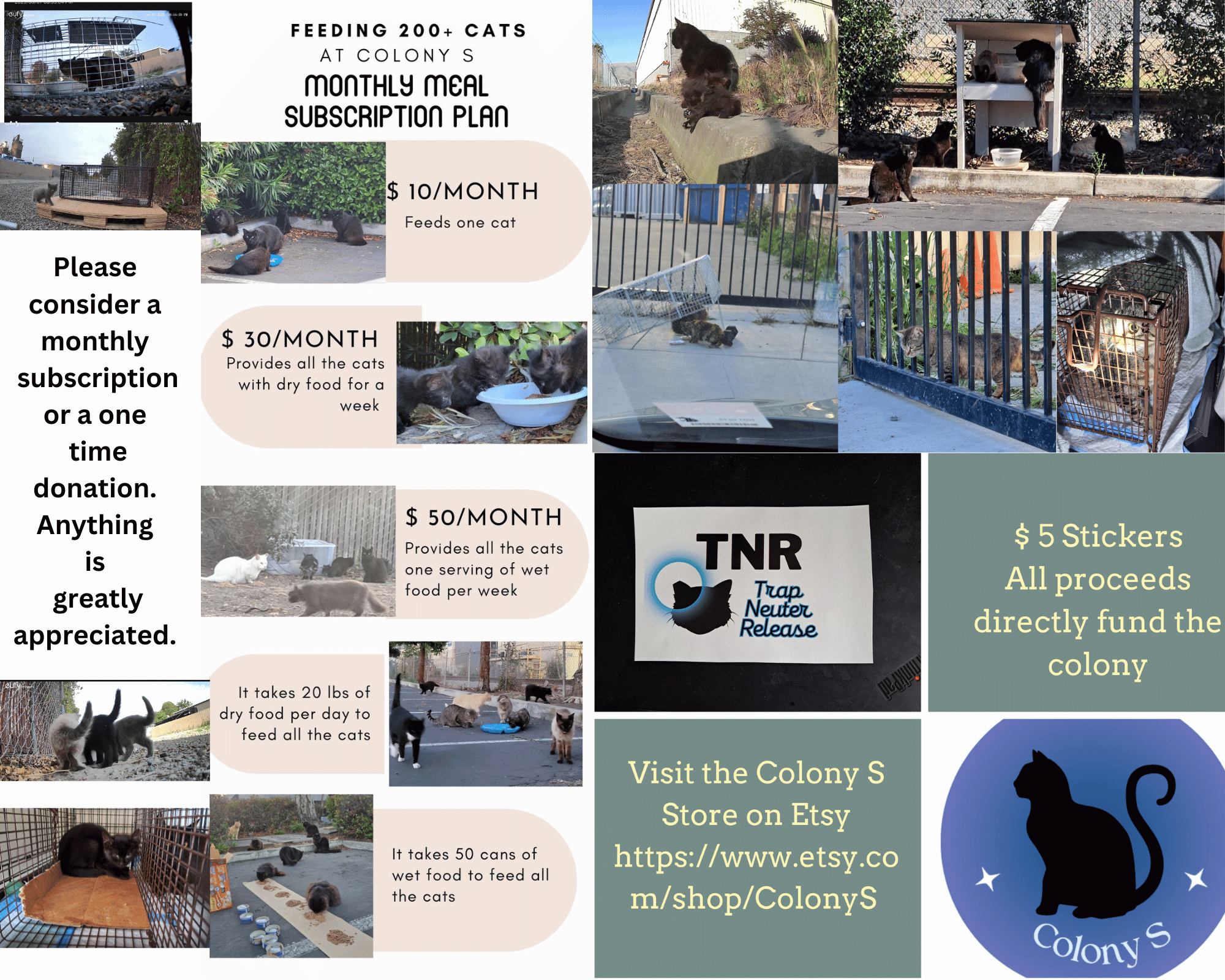Campaign cover image for Project Fremont Colony S Cats Need Your Help