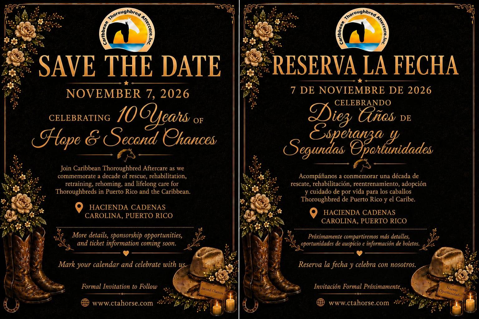 Campaign cover image for 10th Anniversary Fundraising Event | Evento de Recaudación de Fondos del 10mo Aniversario