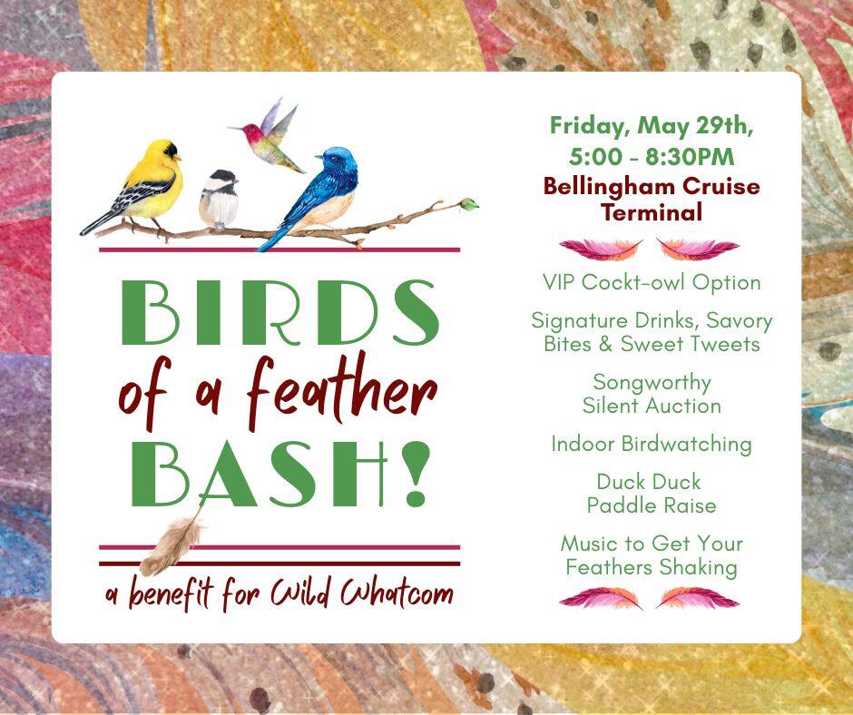 Campaign cover image for Birds of a Feather Bash