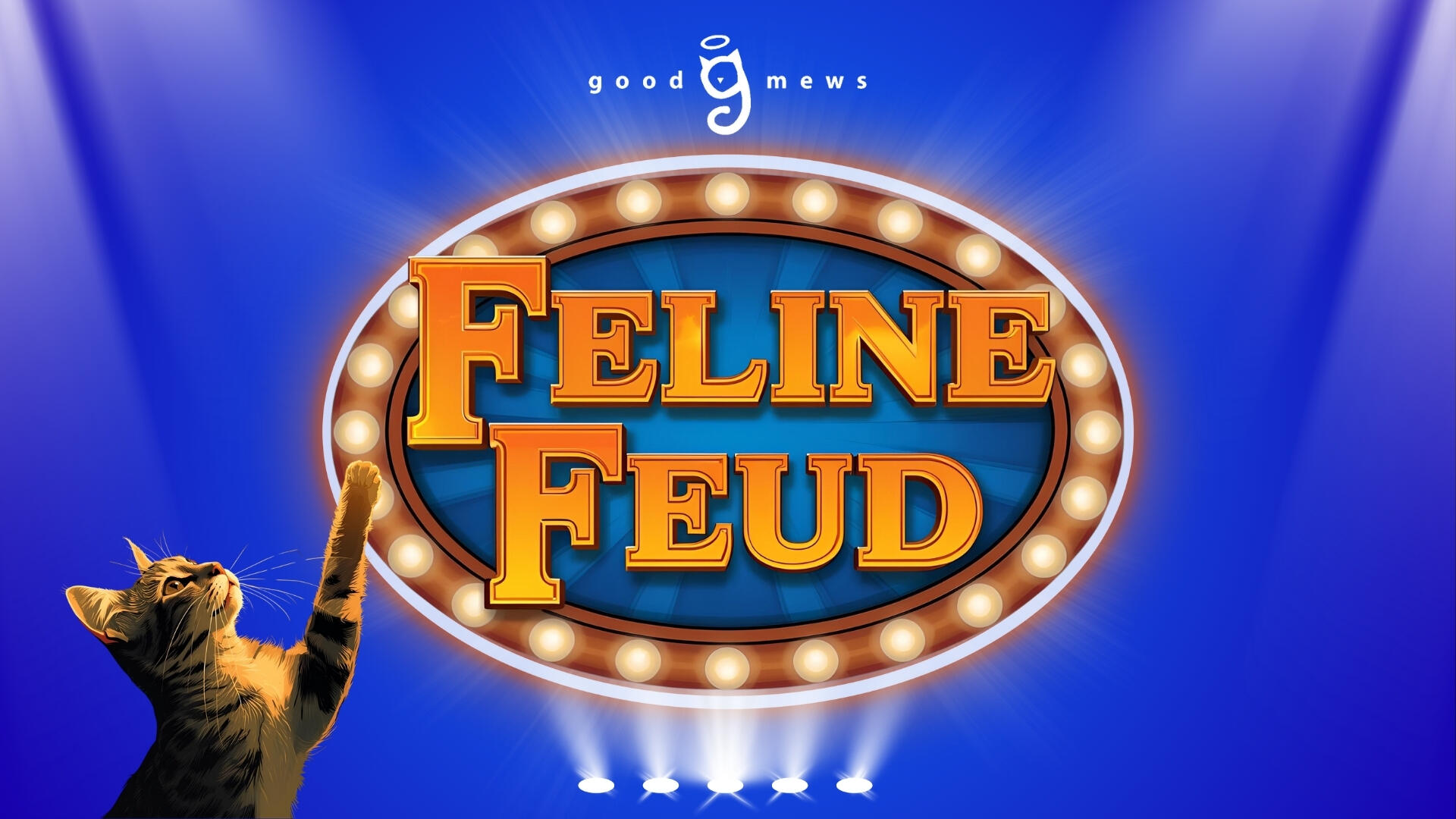 Campaign cover image for Feline Feud