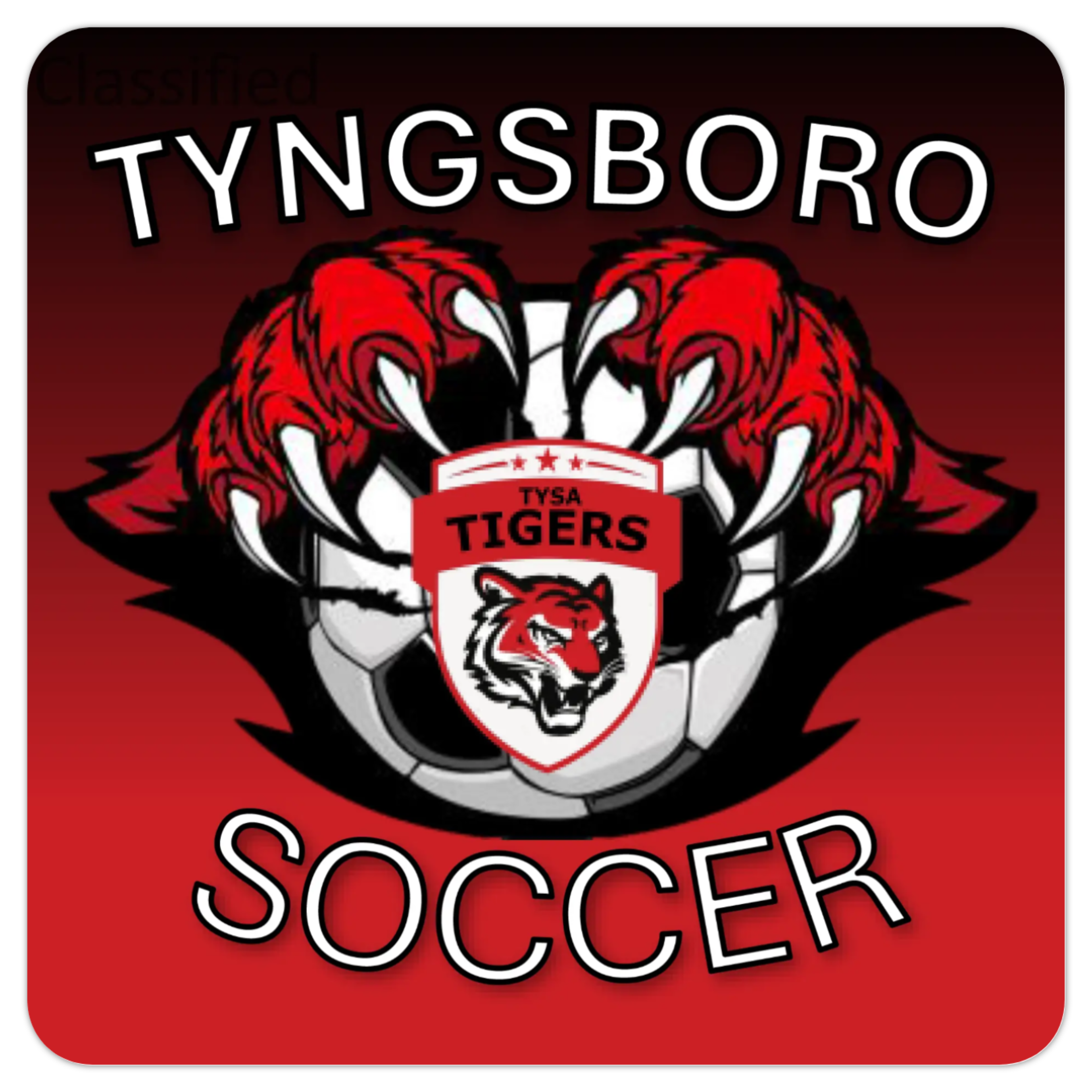 Campaign cover image for TYSA Fall 2025 Raffle