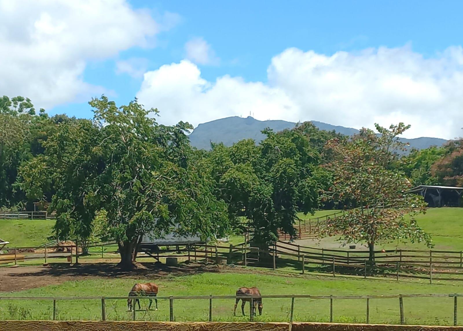 Campaign cover image for Entra El Paisaje con Equinos