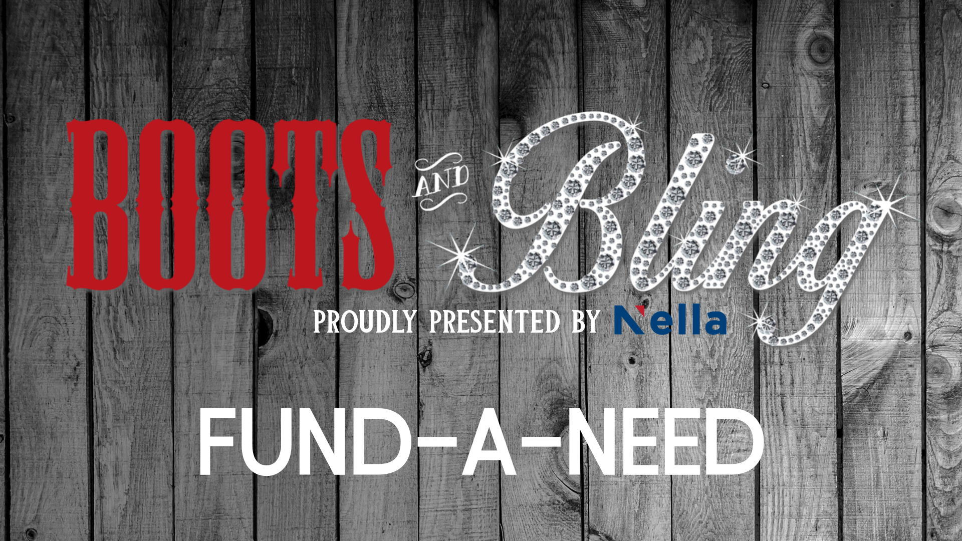 Campaign cover image for Boots & Bling 2025 Fund-A-Need
