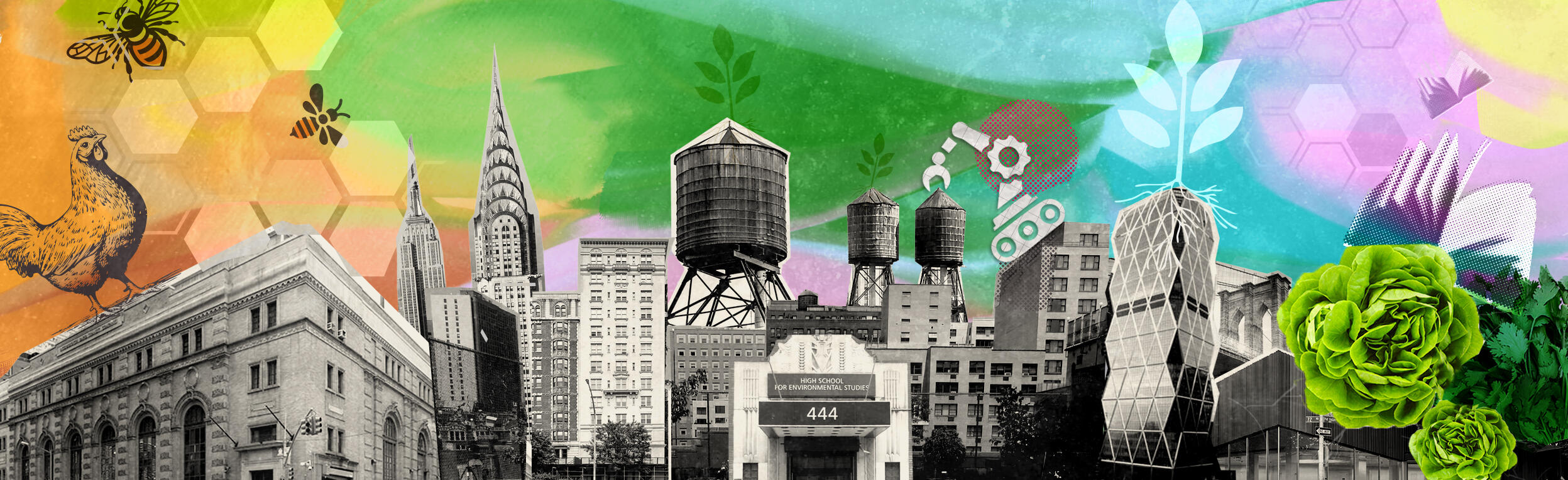 Campaign cover image for High School for Environmental Studies Senior Students Support