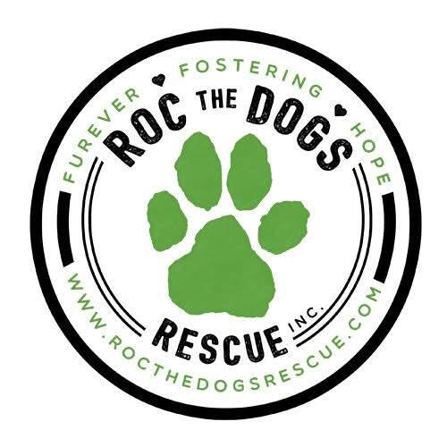 Campaign cover image for RTDRs Donation Matching Challenge !