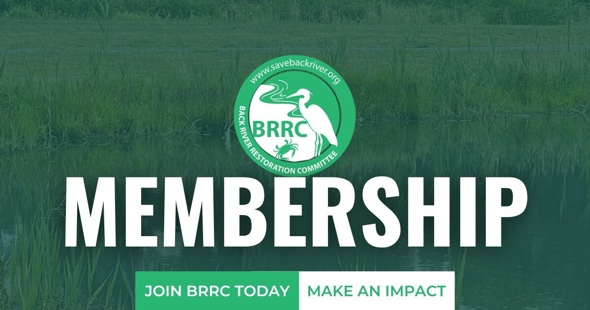 Campaign cover image for BRRC MEMBERSHIP