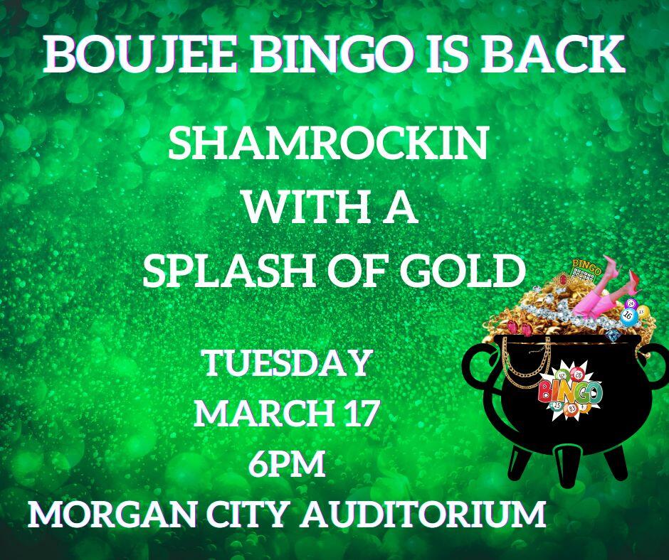 Campaign cover image for Boujee Bingo Shamrockin with a Splash of Gold