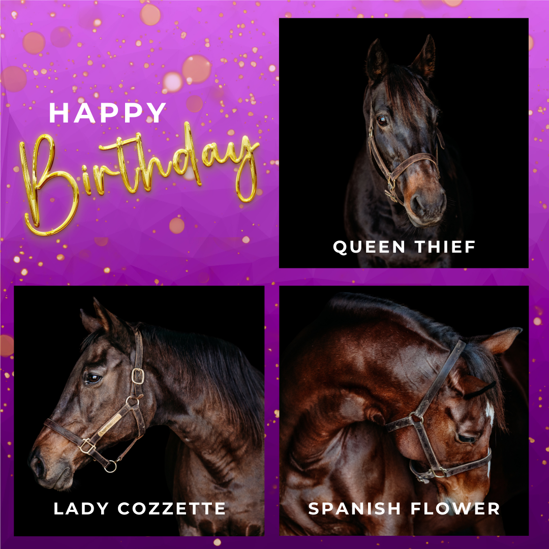 Campaign cover image for May Birthday Fundraiser