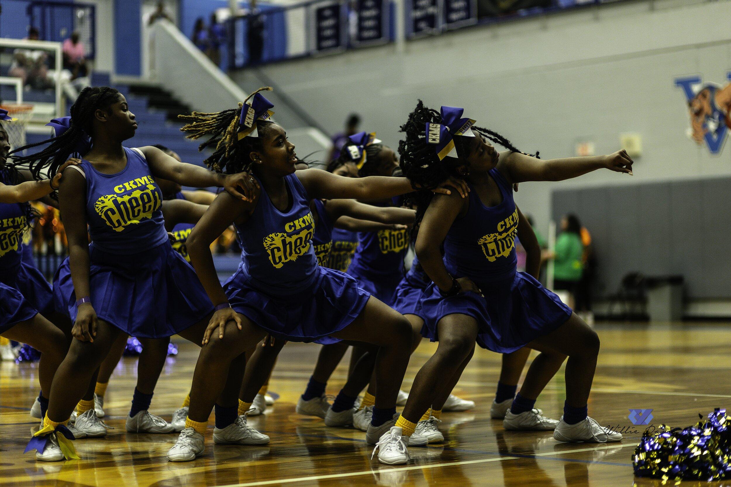 Campaign cover image for Dance & Cheer Showcase