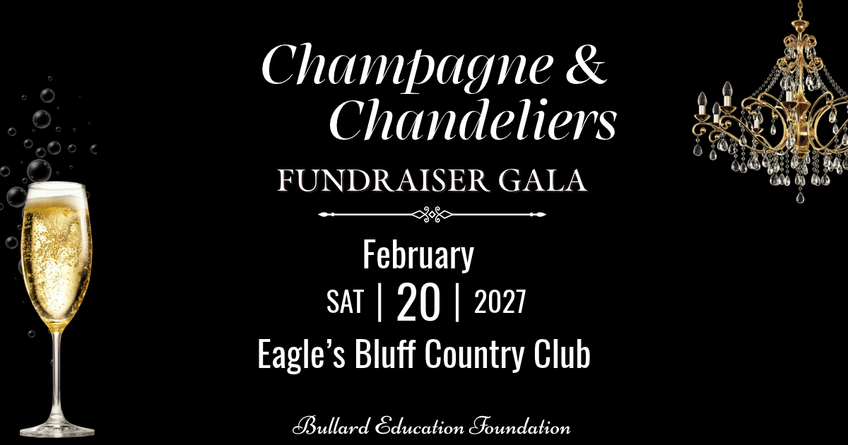 Campaign cover image for Champagne and Chandeliers Gala