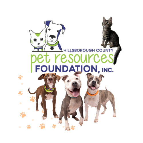 Campaign cover image for Jordan's Way Fundraiser