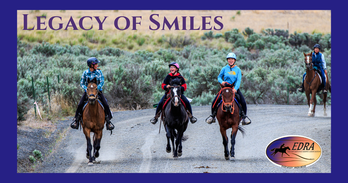 Campaign cover image for Legacy Of Smiles
