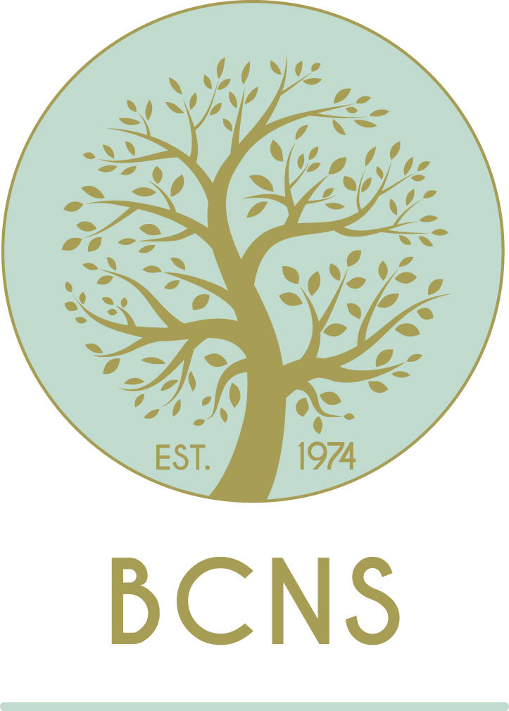 Campaign cover image for BCNS 2025 Auction