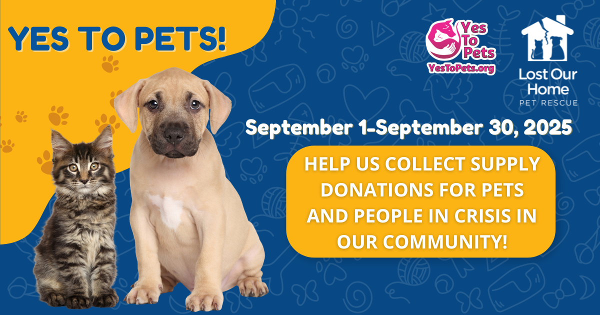 Campaign cover image for Yes To Pets 2025!