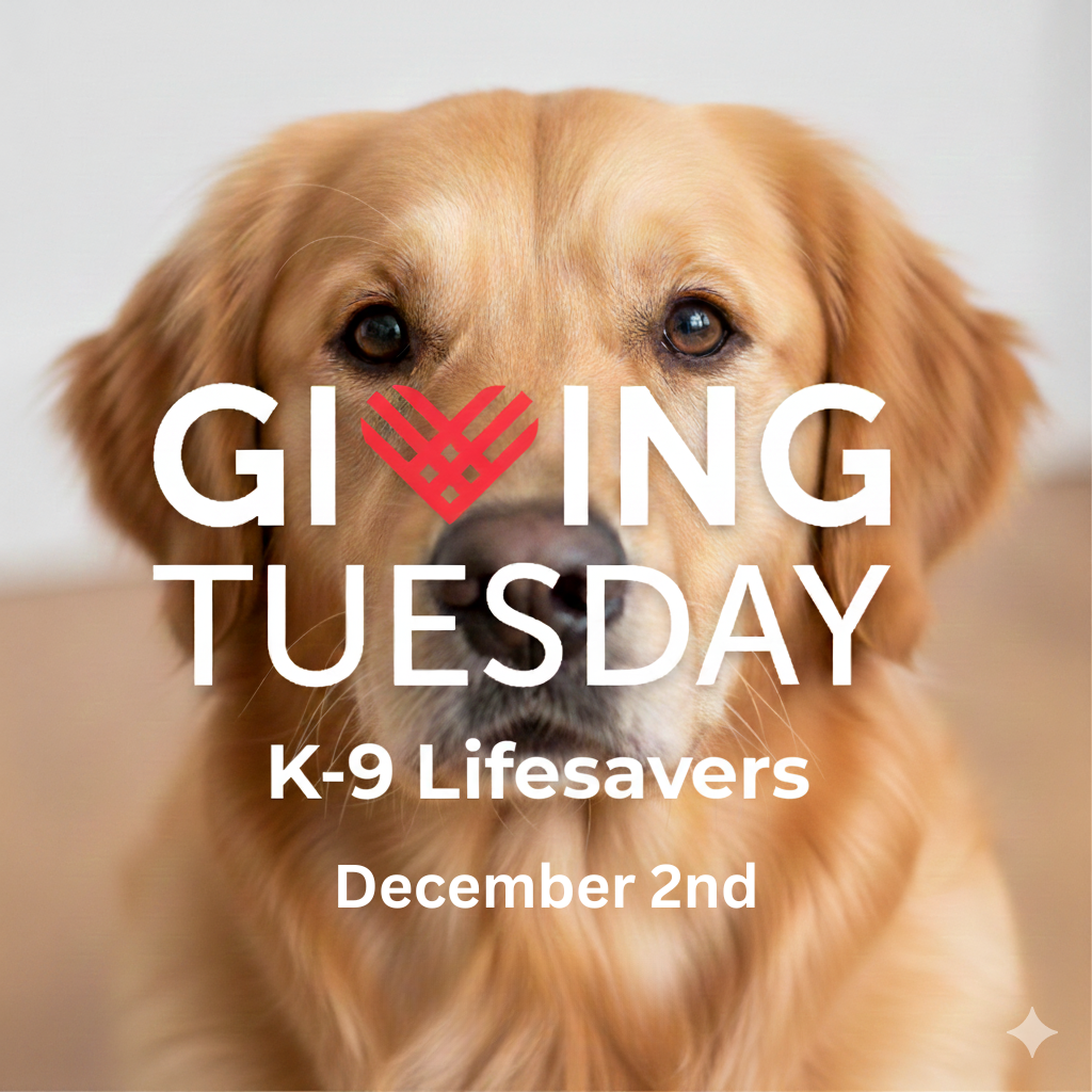 Campaign cover image for Giving Tuesday 2025