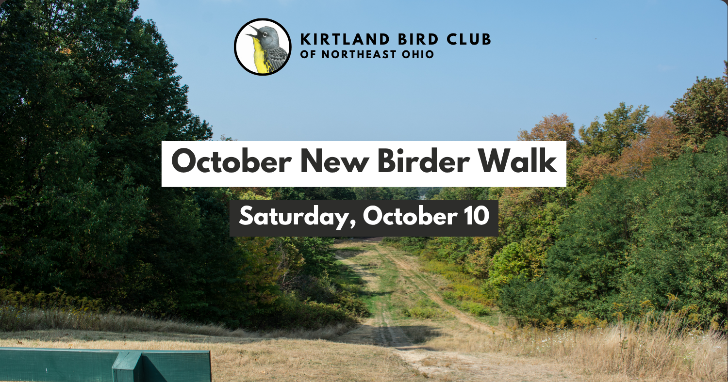 Campaign cover image for October New Birder Walk
