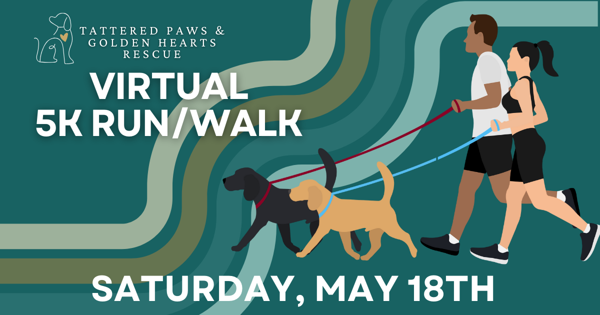 Campaign cover image for 2024 TPGHR Virtual 5K Run/Walk