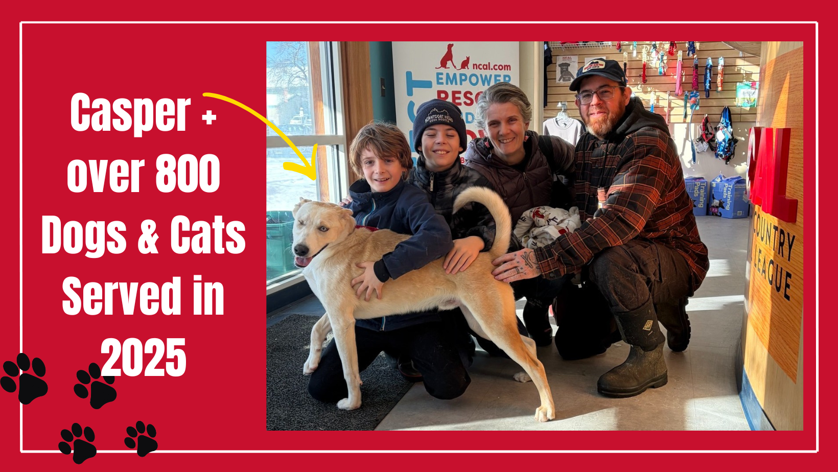 Campaign cover image for Unleash Your Generosity This Giving Season — Help NCAL Strength the Human–Animal Bond Across Vermont