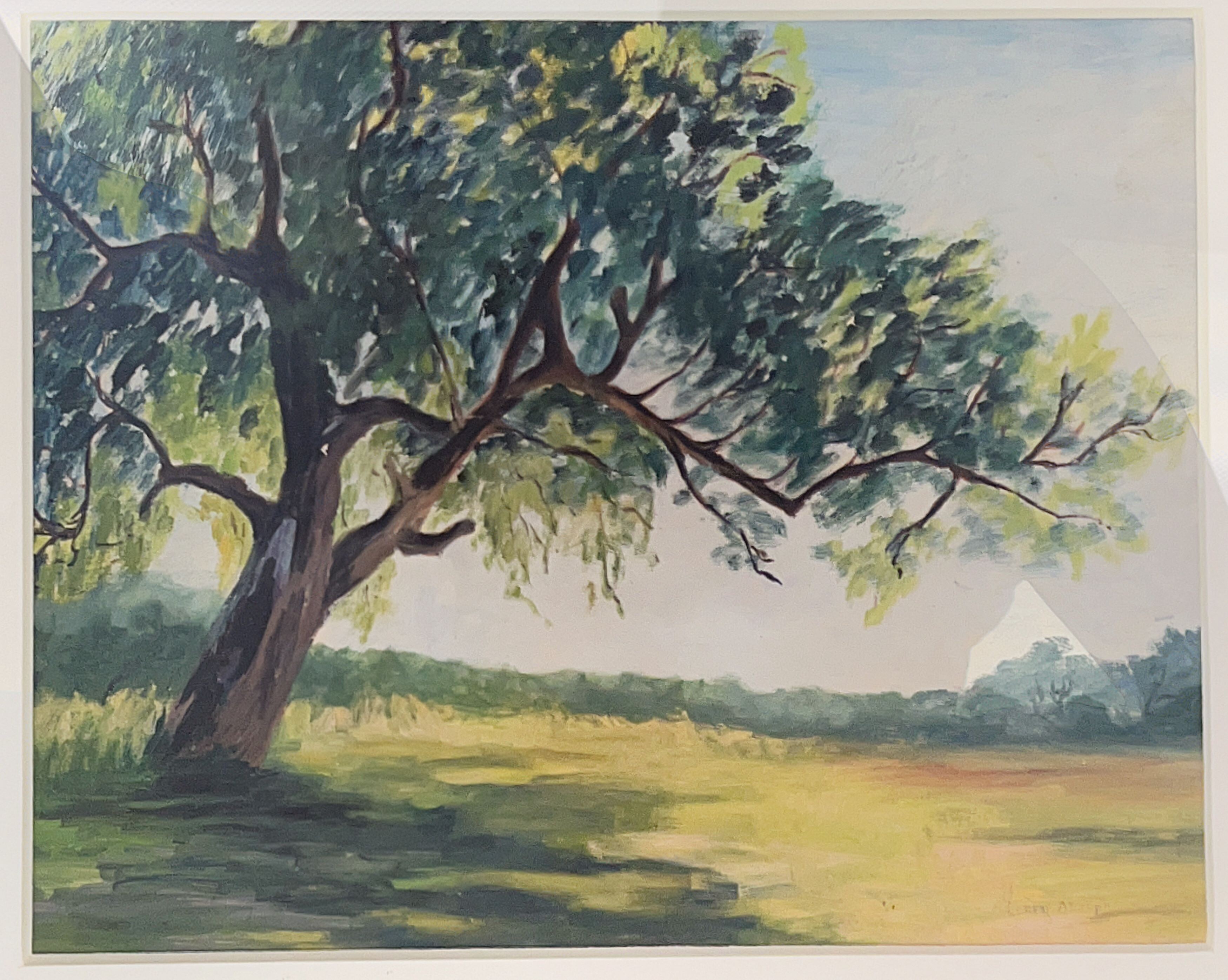 Campaign cover image for NAMI Solano County Auction - Fall 2025 Fundraiser