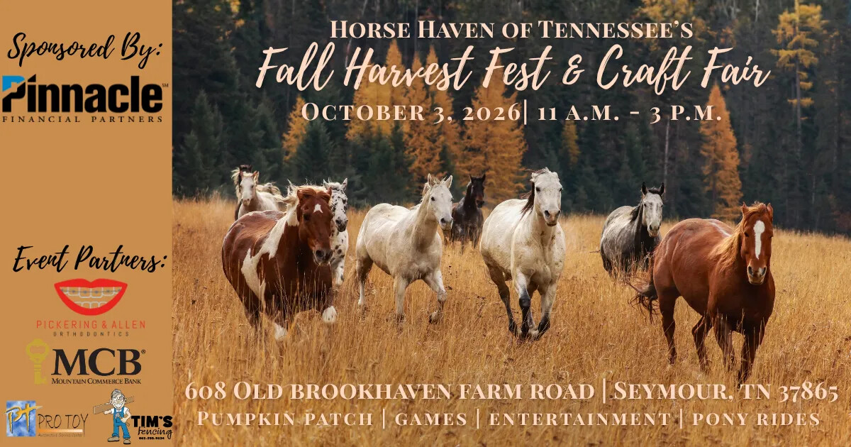 Campaign cover image for Fall Harvest Festival & Craft Fair