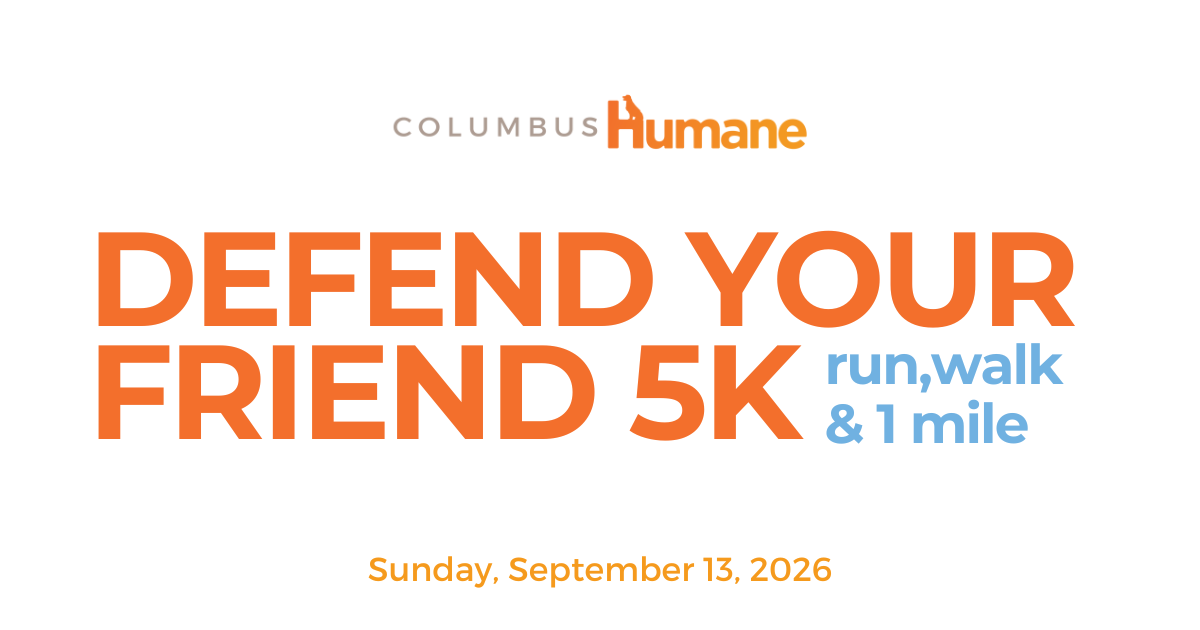 Campaign cover image for 20th Annual Defend Your Friend 5K