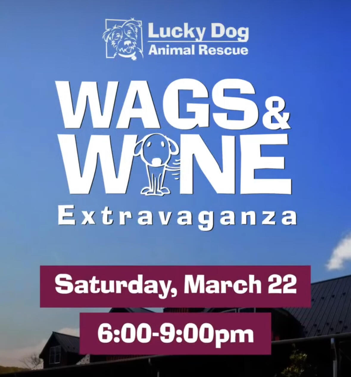 Campaign cover image for 2025 Wags & Wine