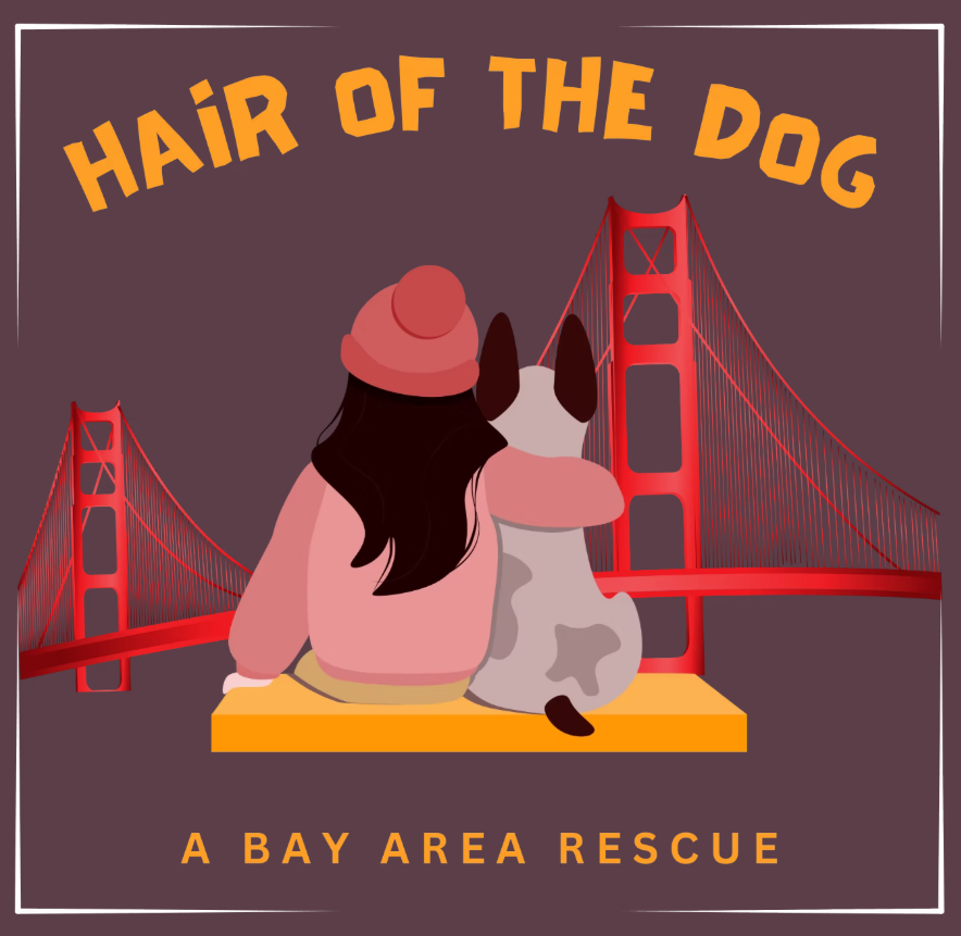 Campaign cover image for 2026 Hair of the Dog Rescue Online Auction!