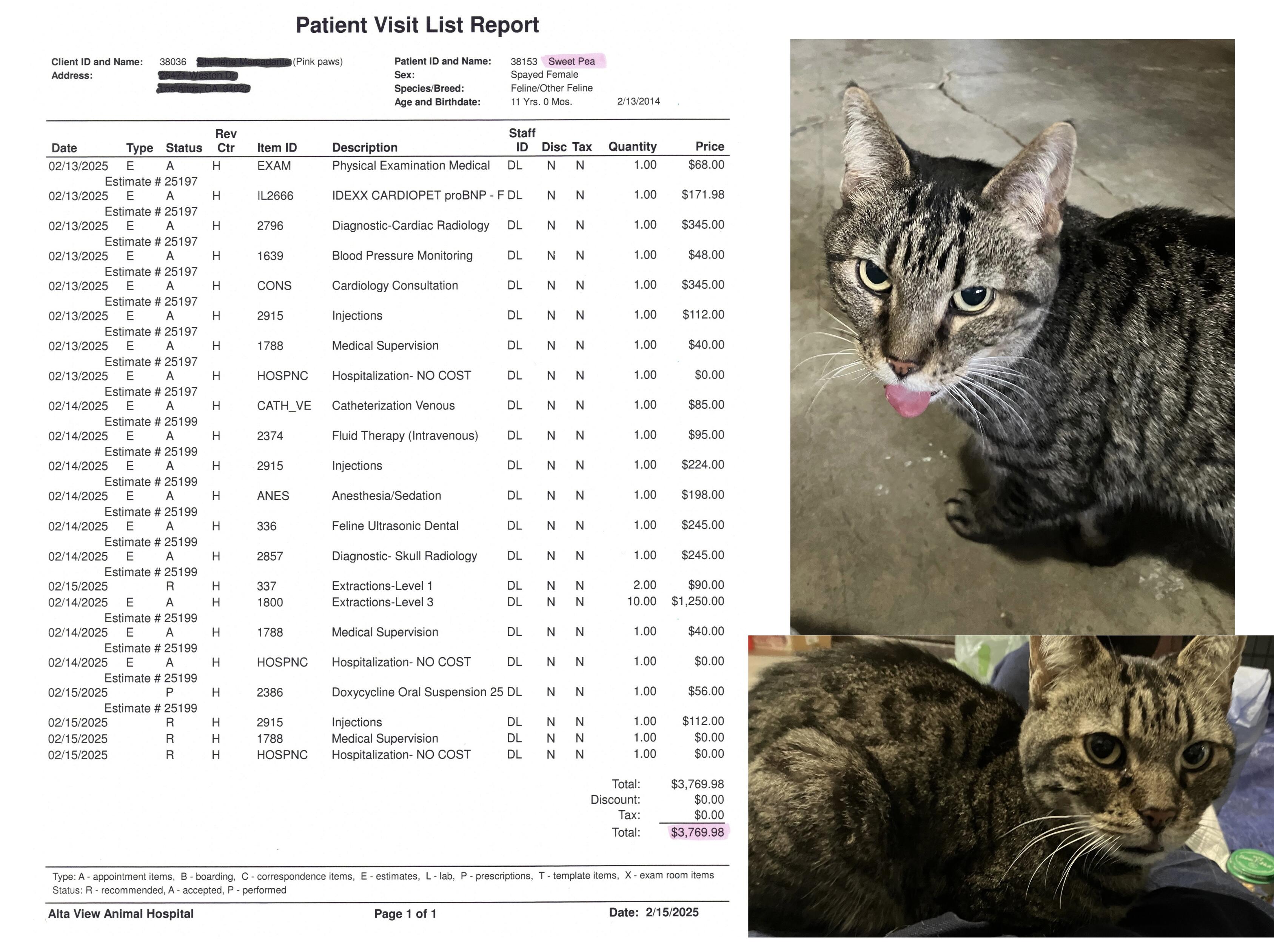 Campaign cover image for Sweet Pea Needs Dental Surgery