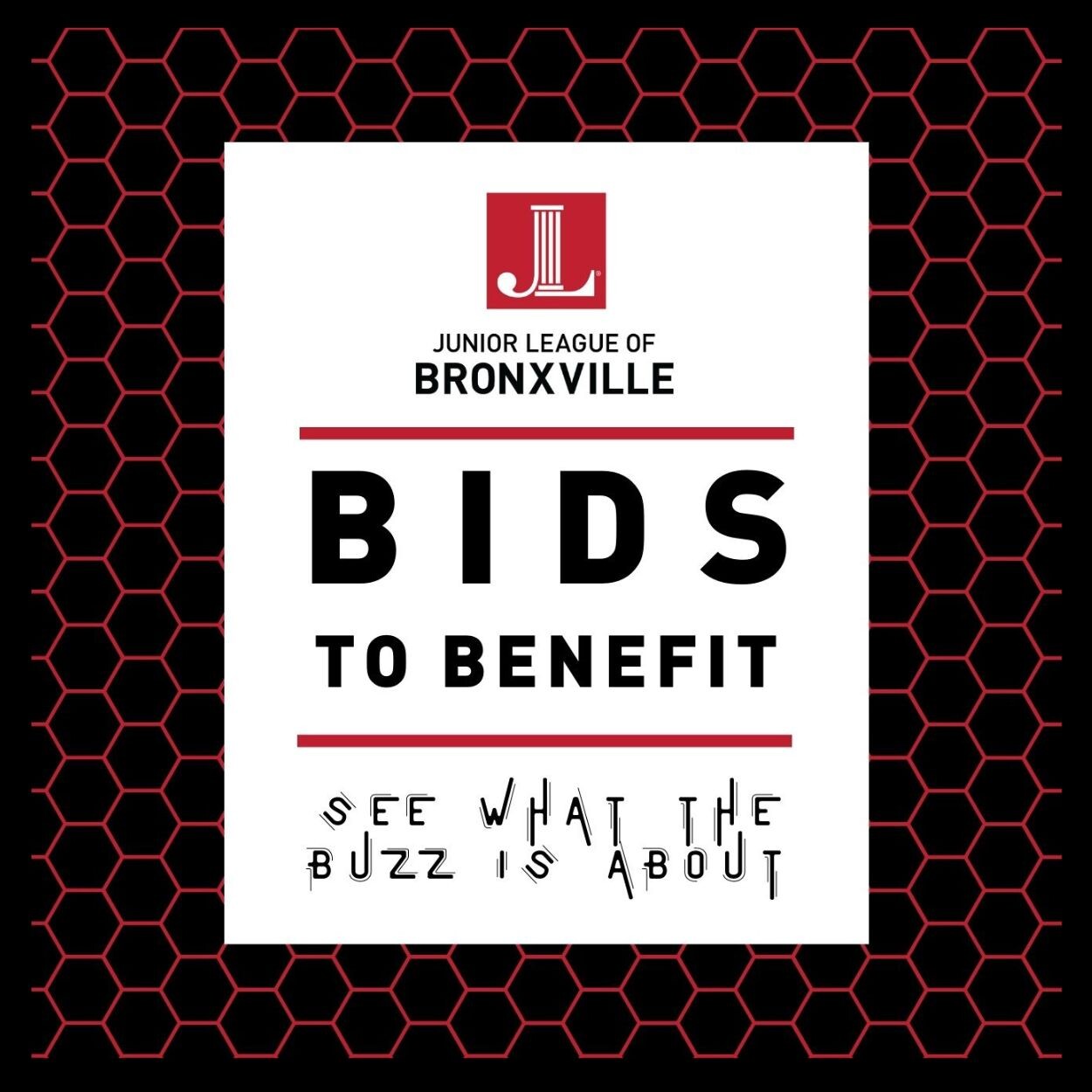 Campaign cover image for BIDS TO BENEFIT 2024