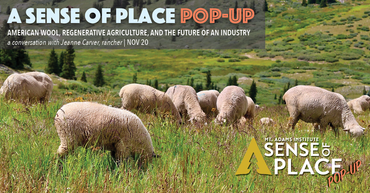 Campaign cover image for American Wool, Regenerative Agriculture, and the Future of an Industry