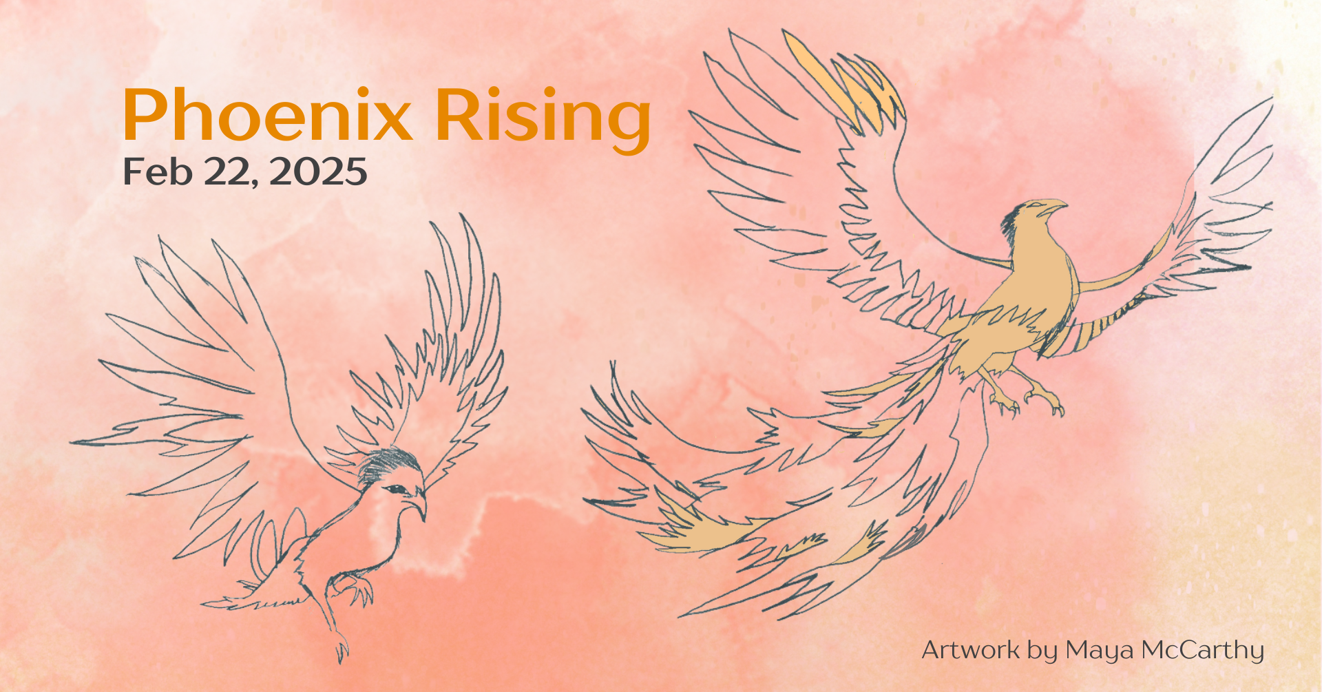 Campaign cover image for Phoenix Rising Benefit Concert