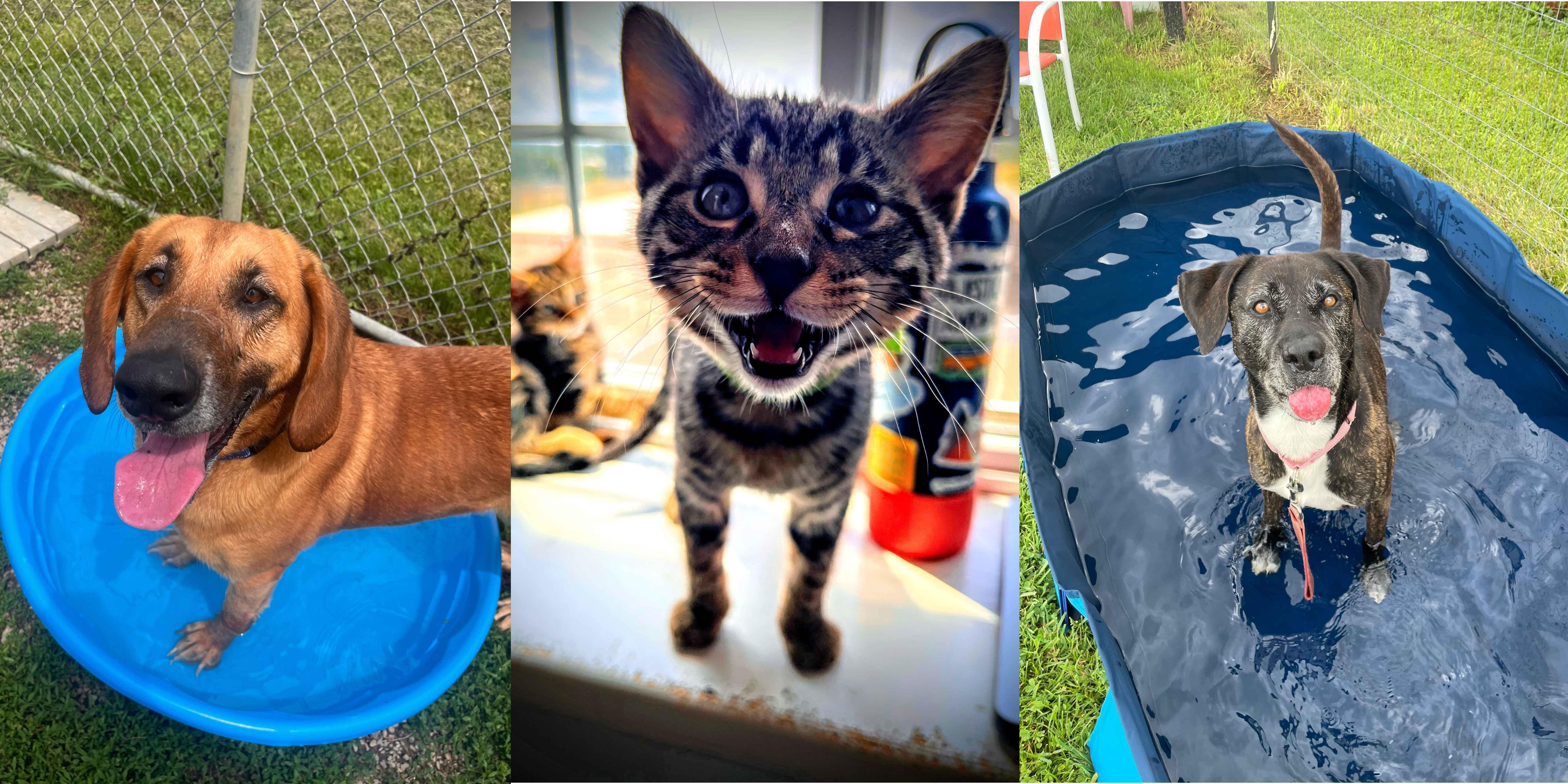 Campaign cover image for Summer Newsletter