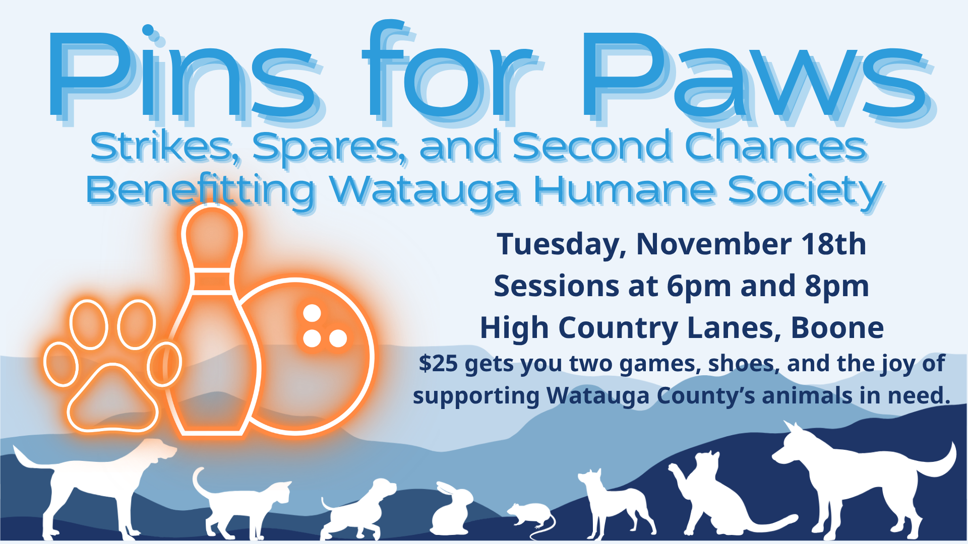 Campaign cover image for Pins for Paws