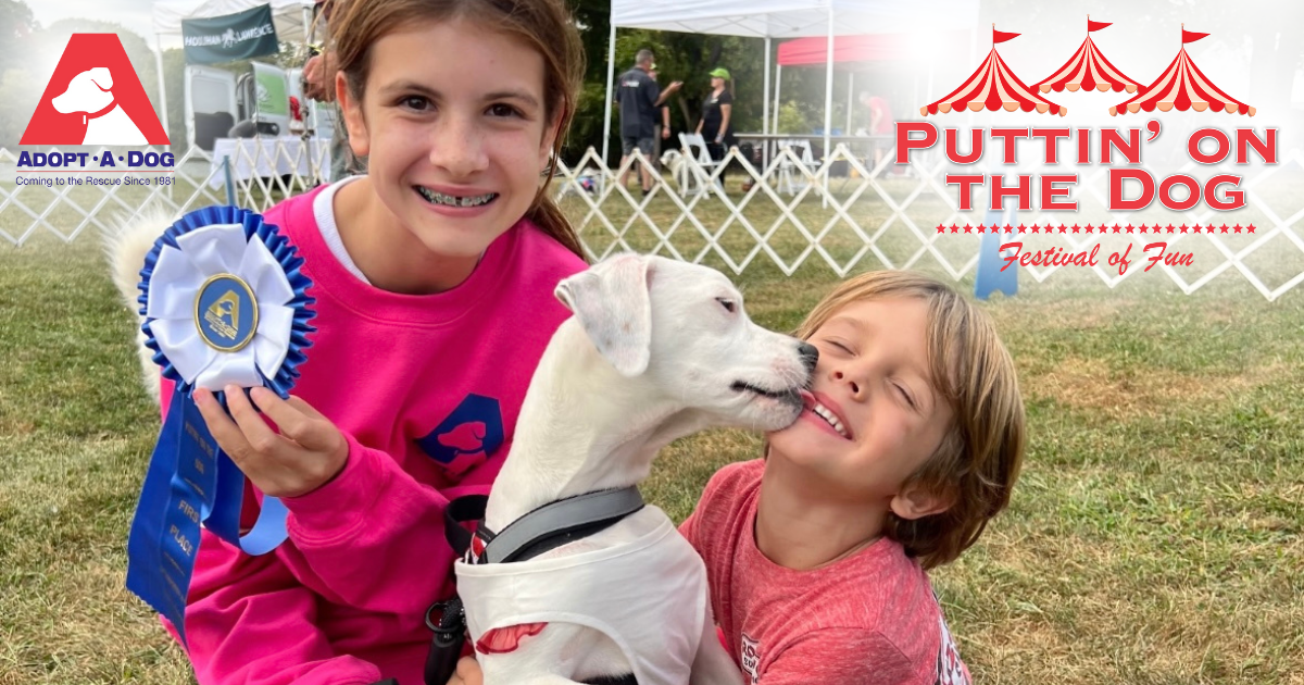 Campaign cover image for Puttin' on the Dog 2025