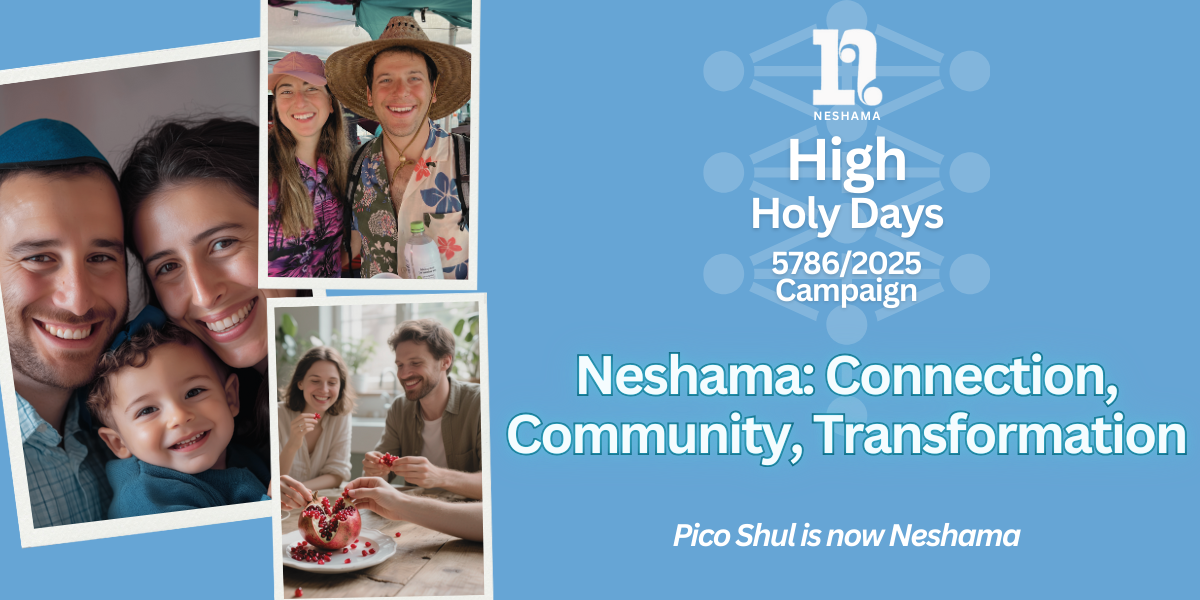 Campaign cover image for High Holy Days Campaign: Support Our Future in 5786 & Beyond!