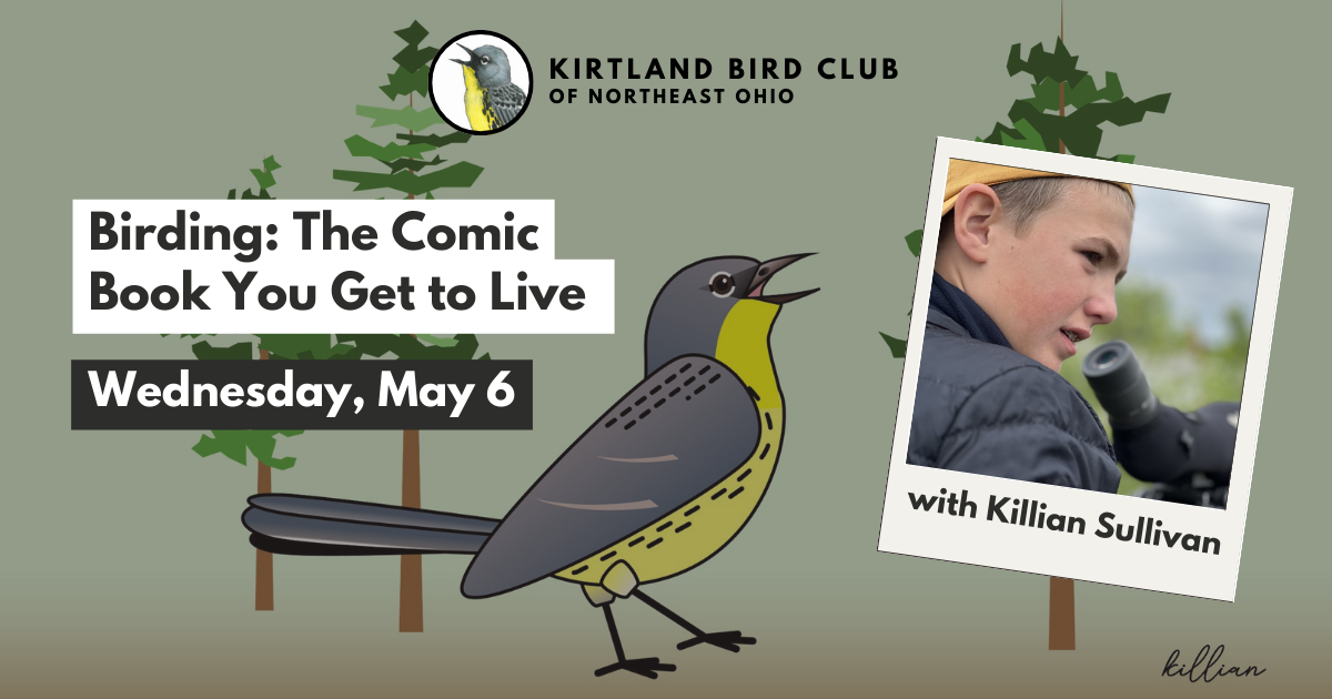 Campaign cover image for Birding: The Comic Book You Get to Live