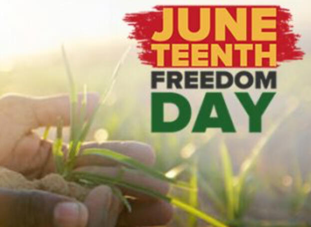 Campaign cover image for Juneteenth Celebration