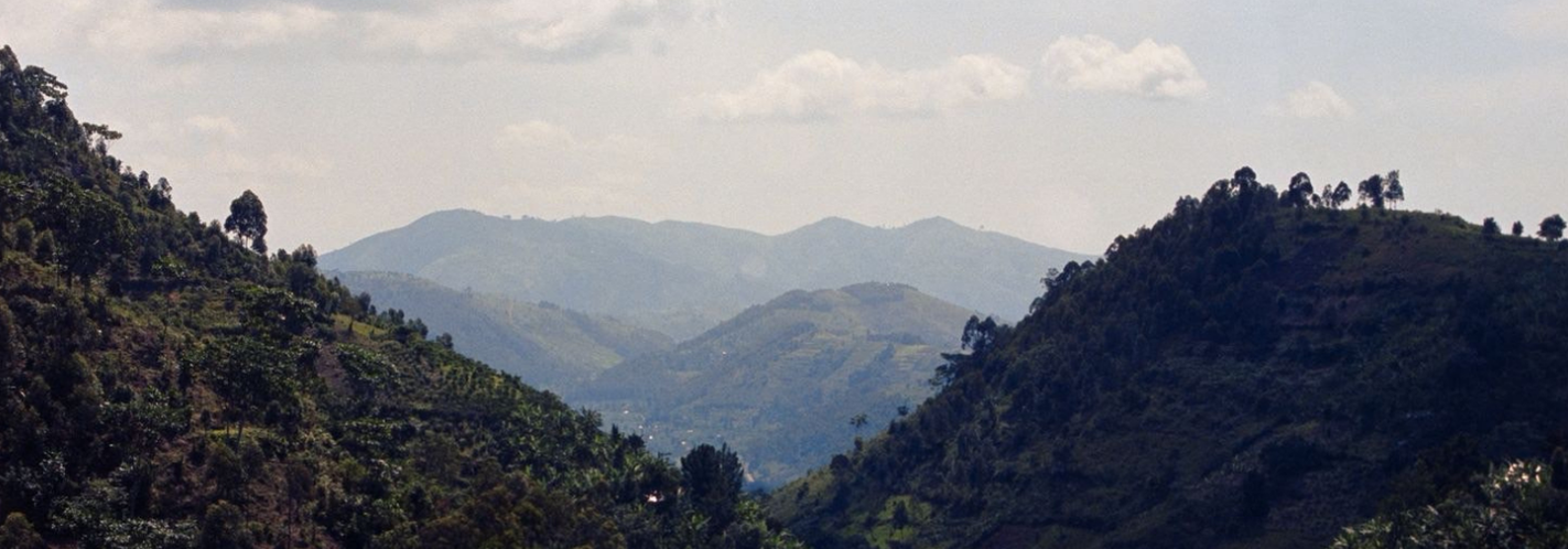 Campaign cover image for Into the Mist Masquerade