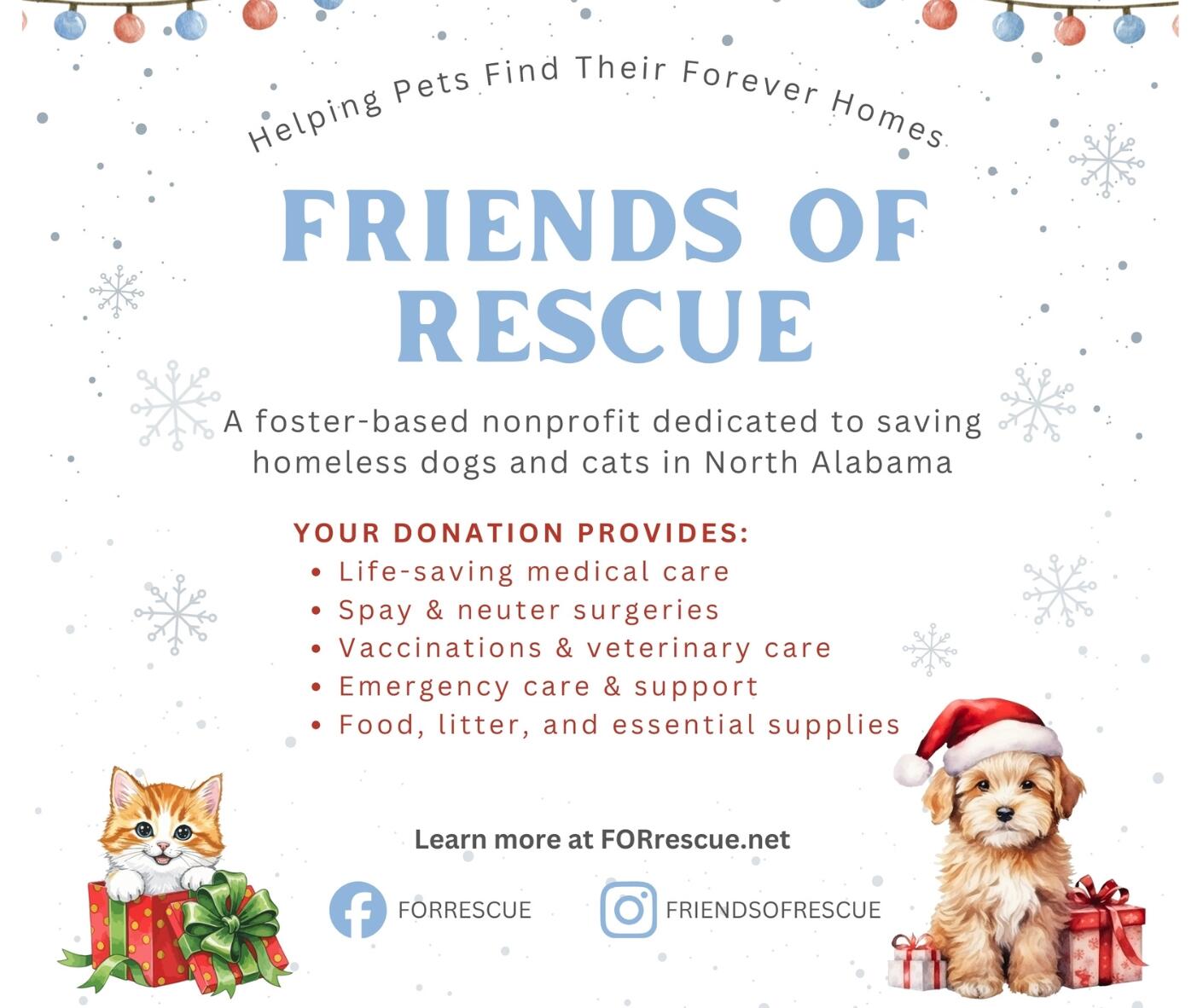 Campaign cover image for Friends of Rescue
