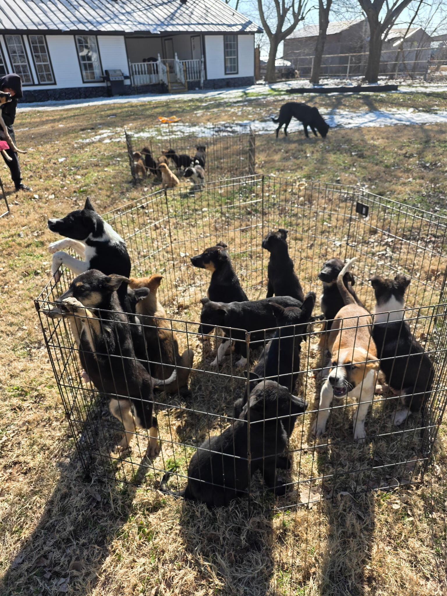 Campaign cover for Support Our Rescue