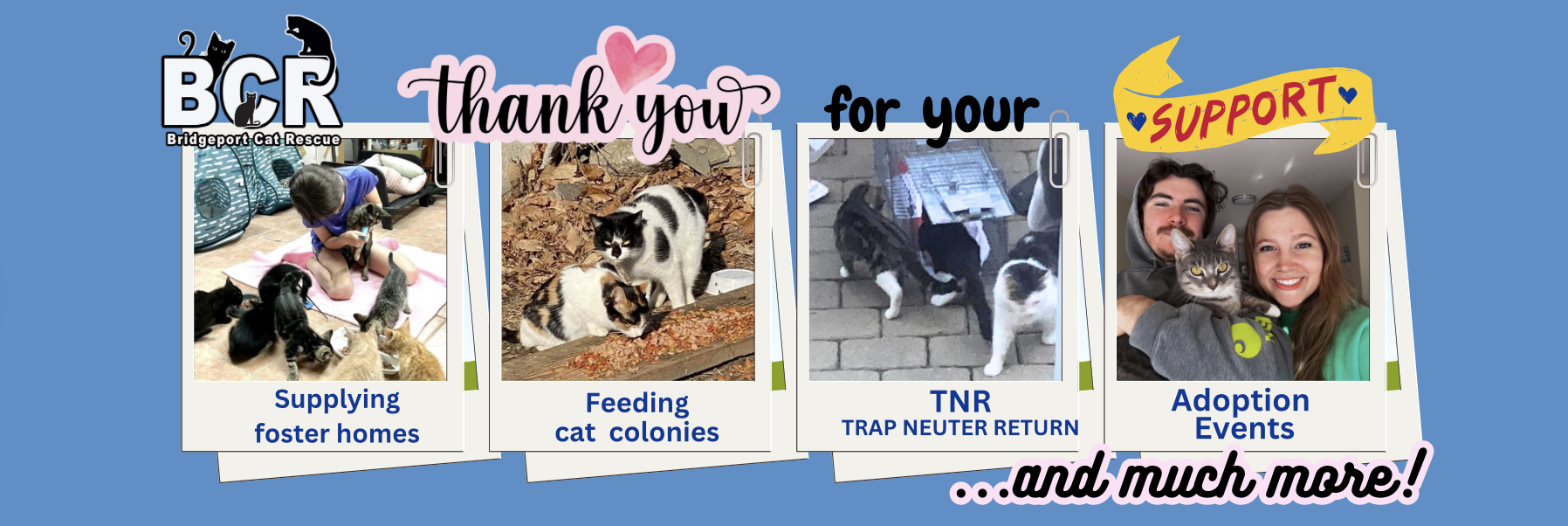 Campaign cover image for Help Us Save Them All—Donate Today! 🐾