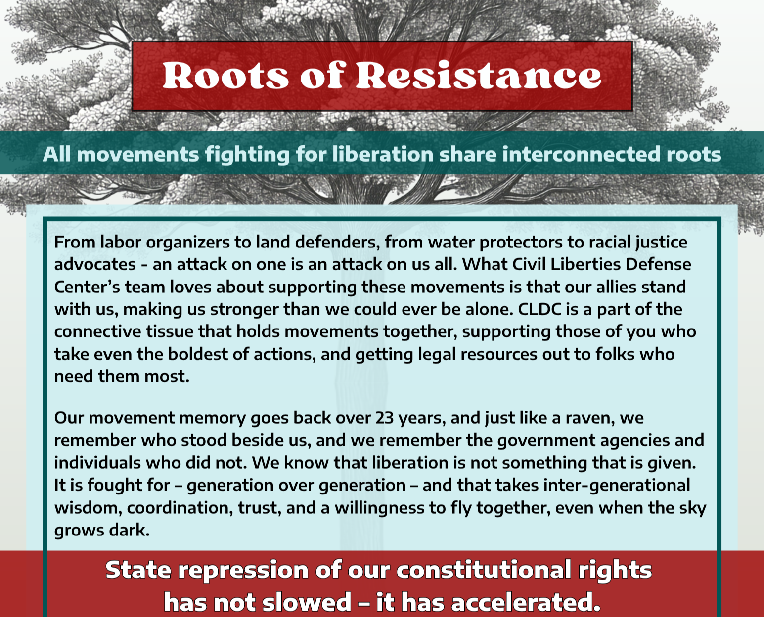 Campaign cover image for Roots of Resistance - 2026 Spring Fund Appeal