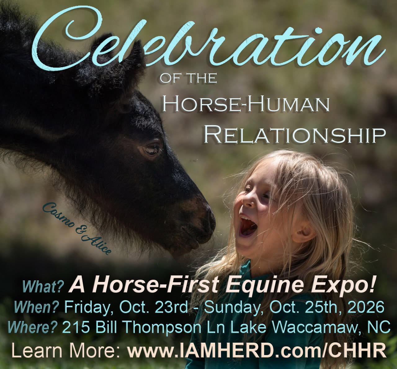 Campaign cover image for Celebration of the Horse-Human Relationship