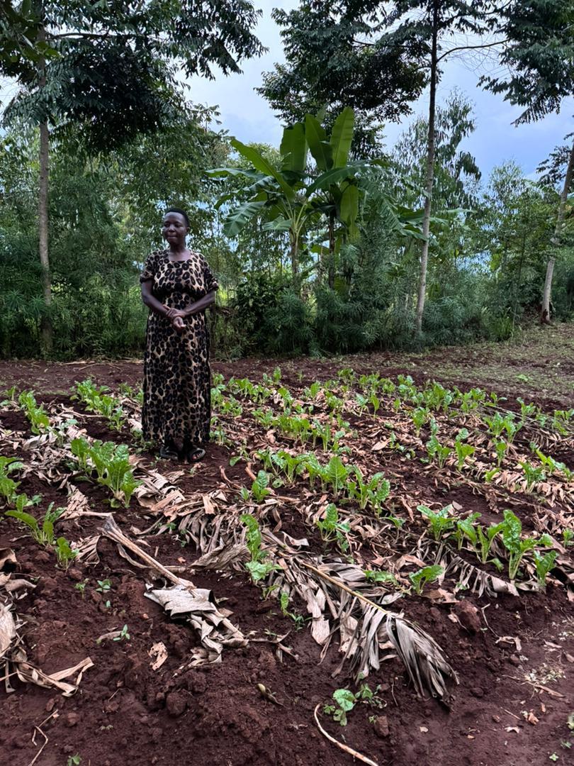 Campaign cover image for The Judith Project