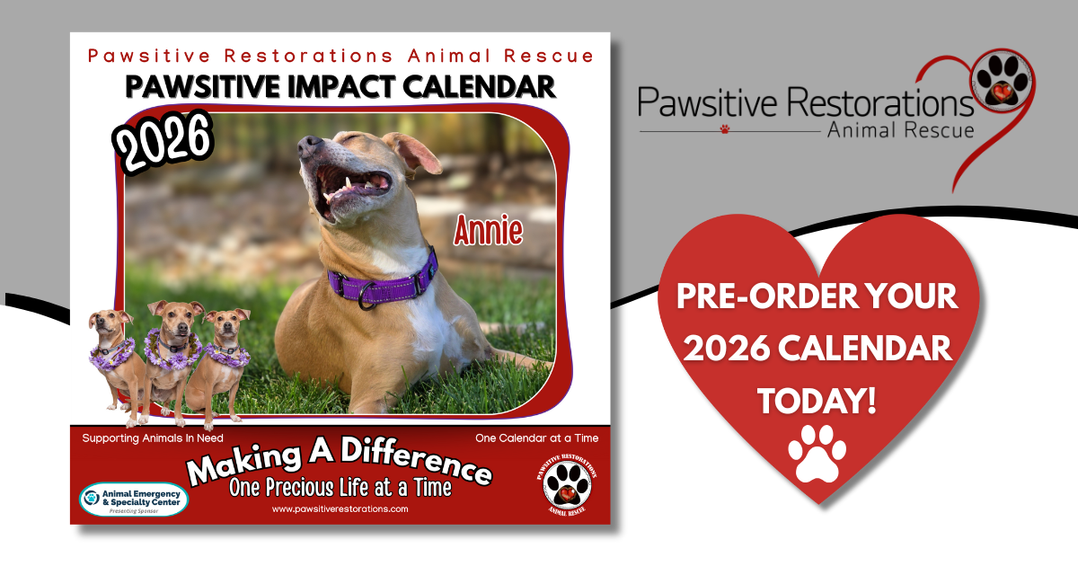 Campaign cover image for 2026 CALENDAR PRE-ORDER