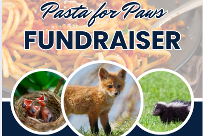 Campaign cover image for Pasta for Paws