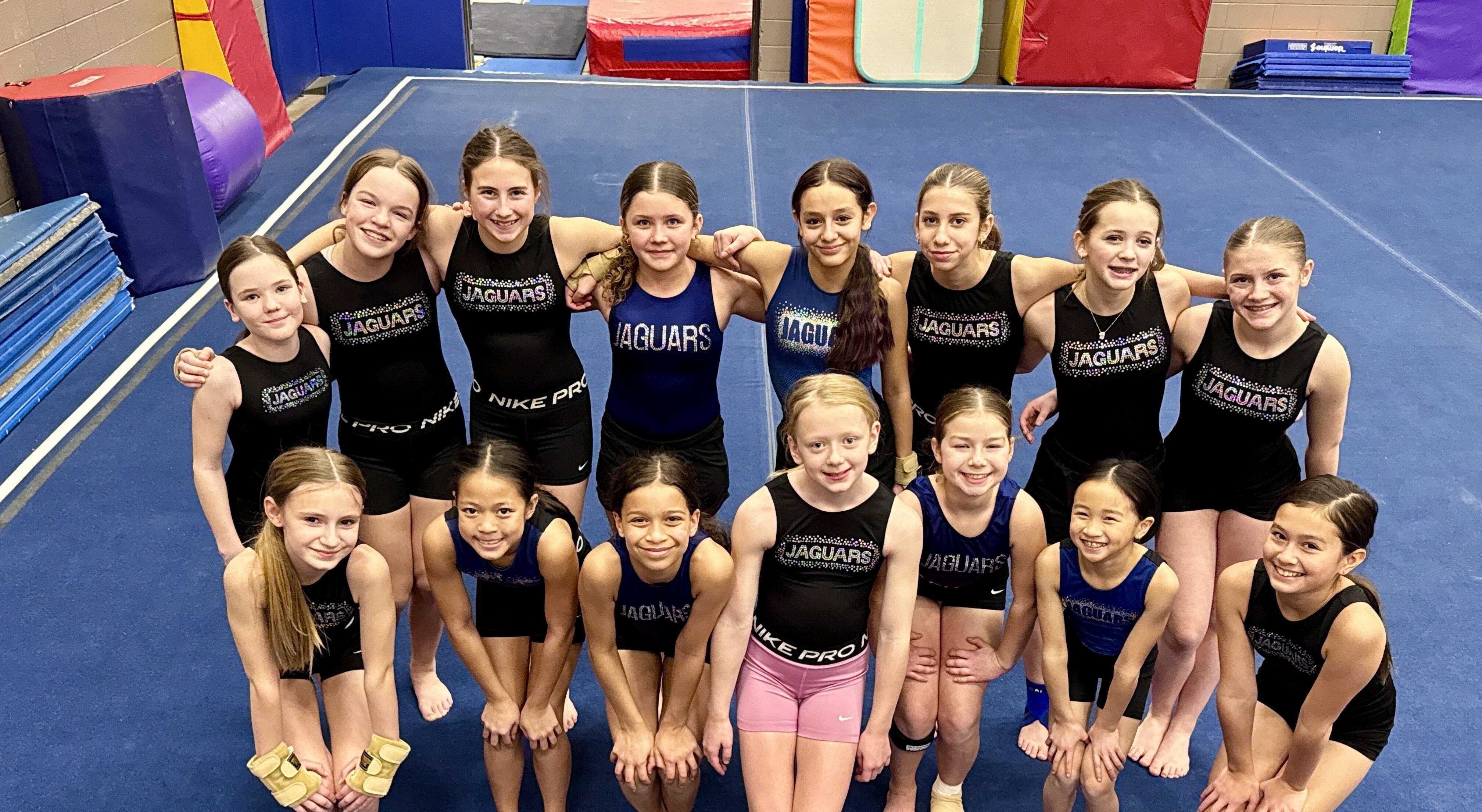 Campaign cover image for 2026 State Championships + New Leotards