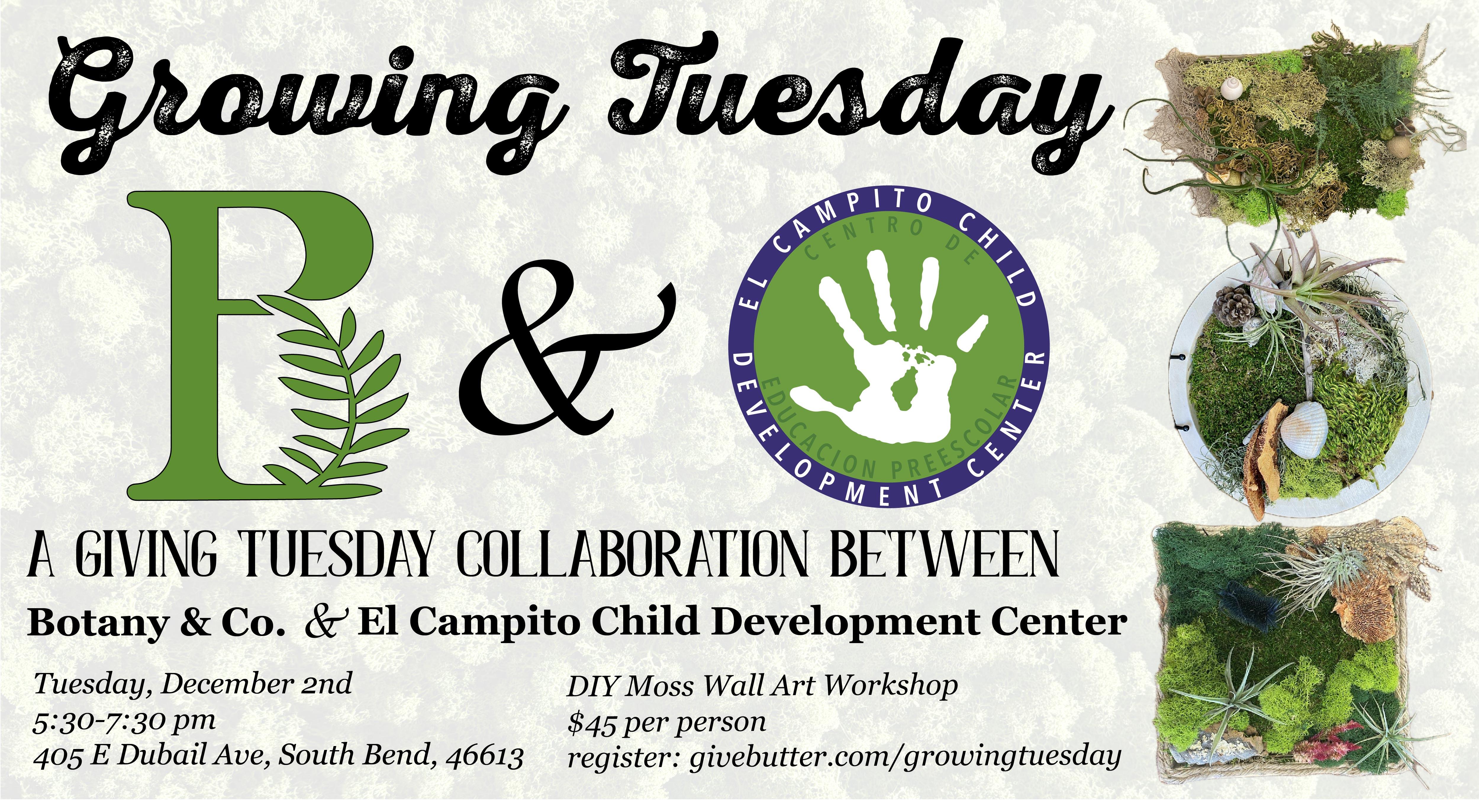 Campaign cover image for Growing Tuesday