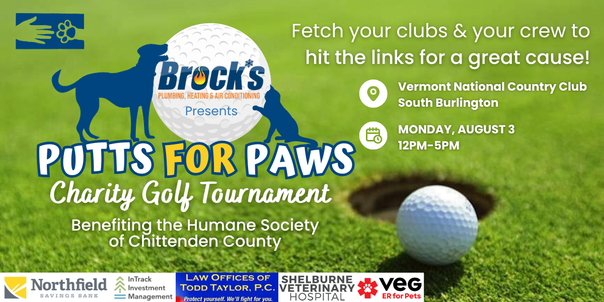 Campaign cover image for Putts for Paws